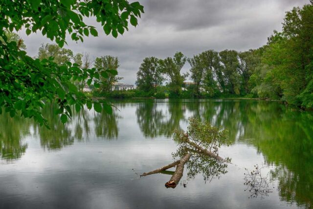 Eichinger Weiher in Karlsfeld